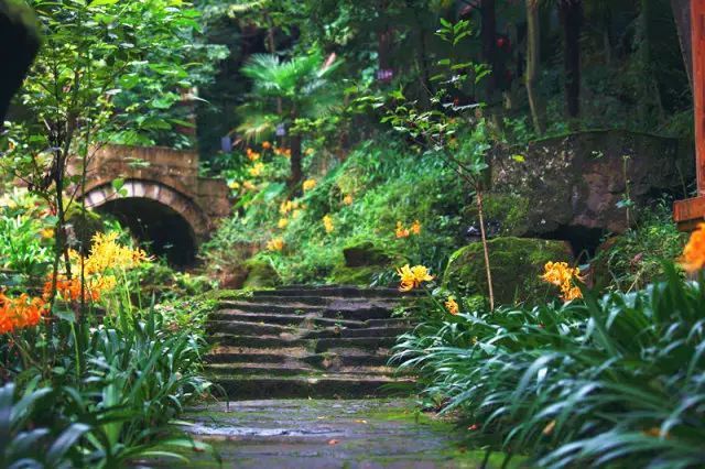 彭州冰川瀑布，看千年銀杏，徒步攻略